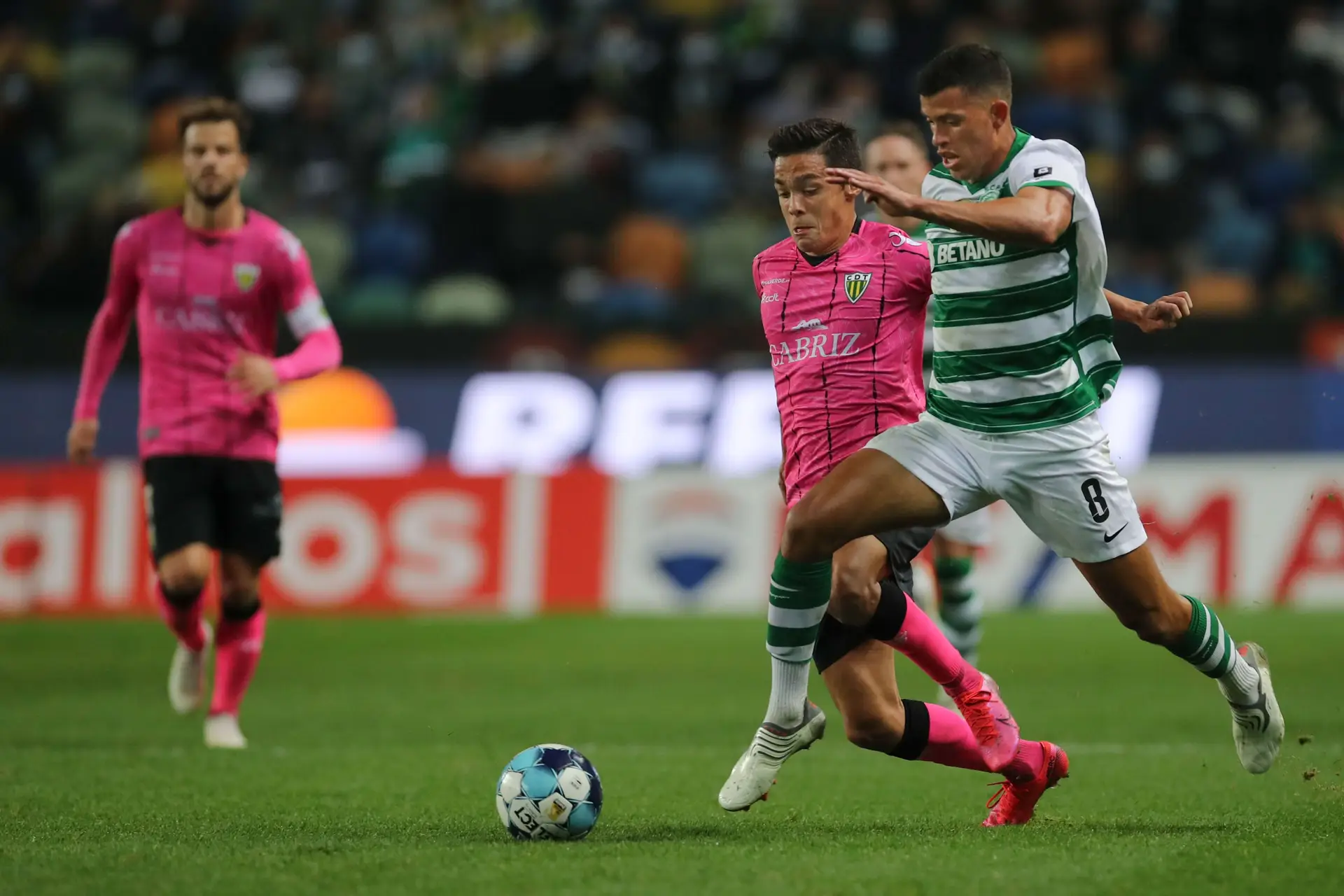 Diogo Faro vê Matheus Nunes meio tenso por jogar sem Palhinha no dérbi. Mas ao mesmo tempo confiante, porque vai meter João Mário no bolso