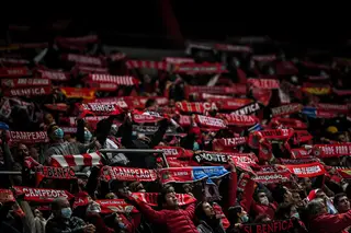 PSP suspeita de “encontro combinado” entre adeptos do Benfica e do Dinamo Kiev
