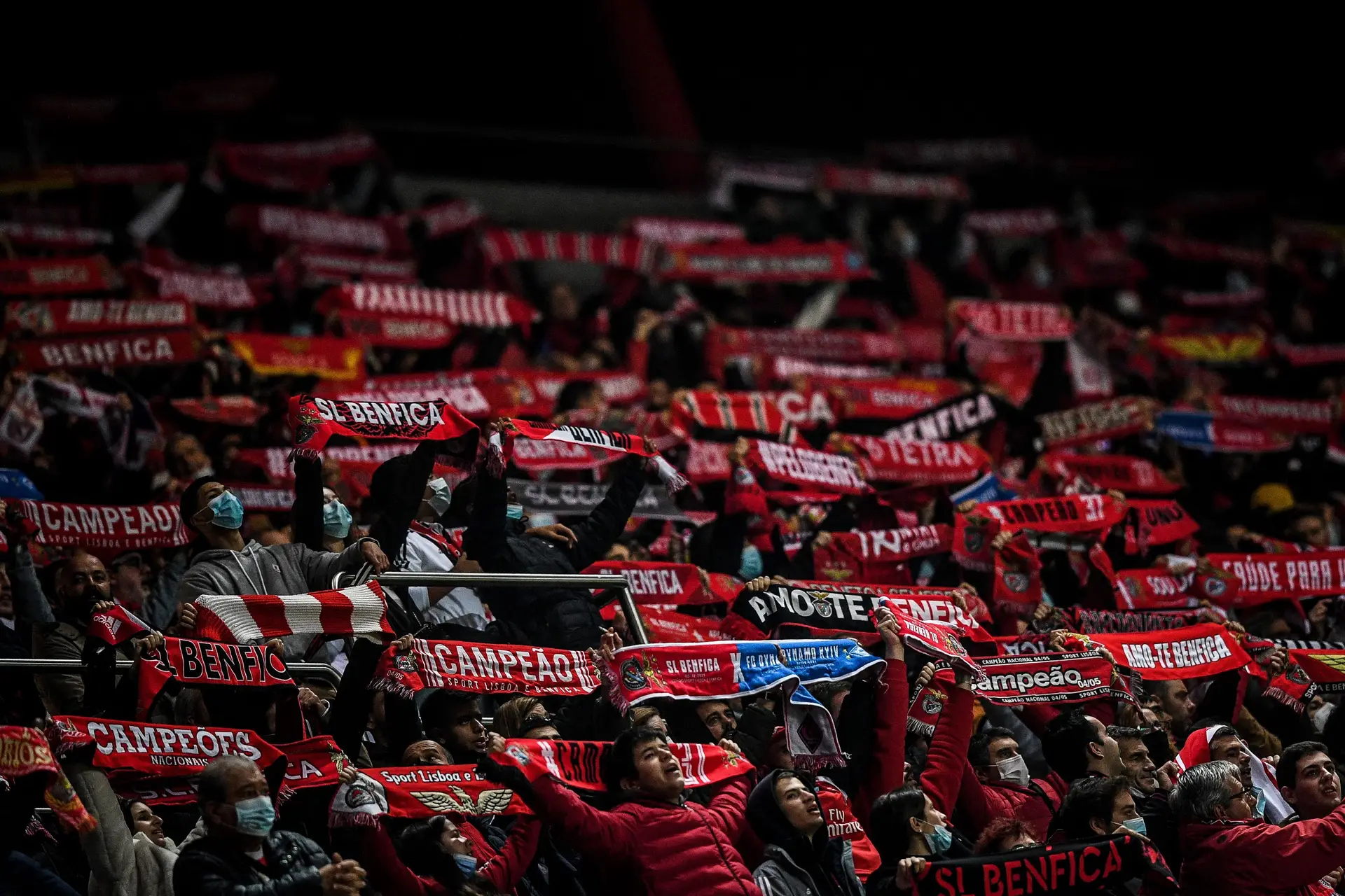 Adepto esfaqueado no Estádio da Luz no intervalo do Benfica - AVS