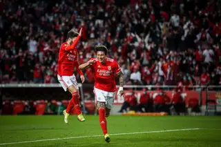 Benfica e o darwinismo no ataque