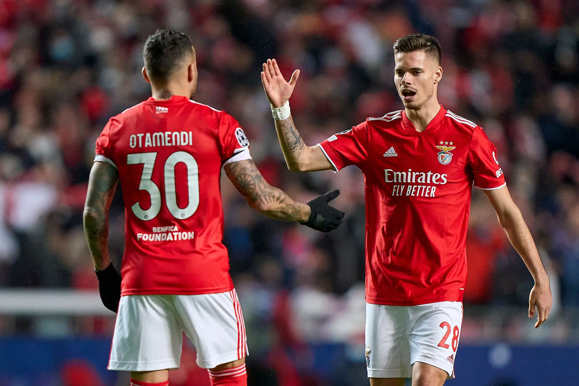 Hóquei Patins Atividade Desportiva - SL Benfica