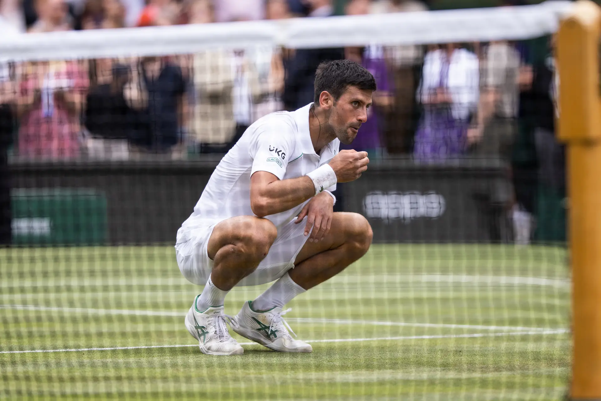 WTA anuncia revolução para igualar prize money dos torneios masculinos