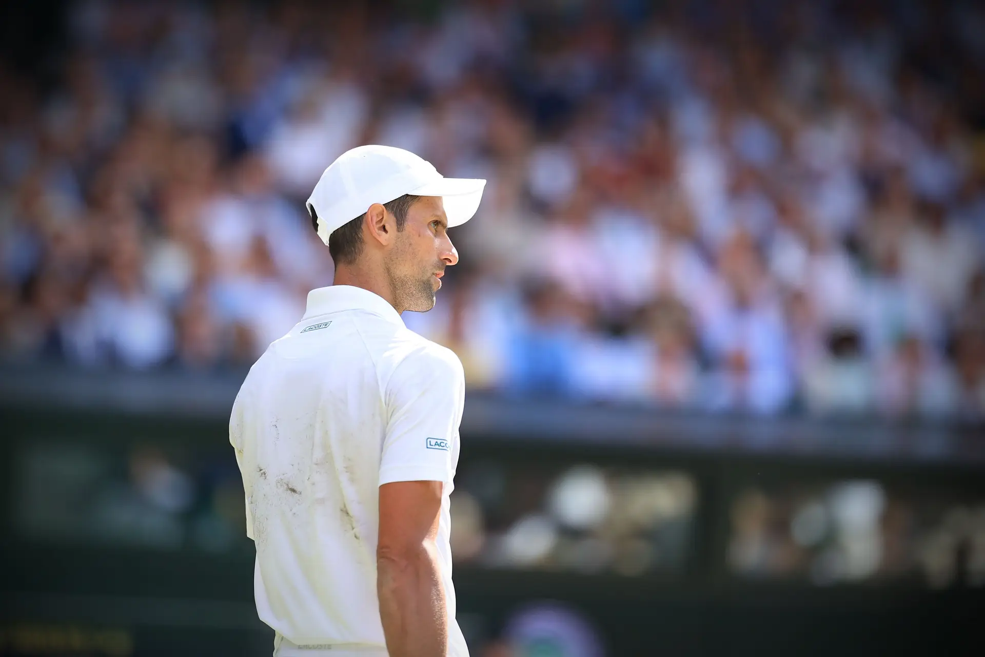 As “boas notícias” não chegaram e Djokovic deverá mesmo falhar o US Open porque não está vacinado