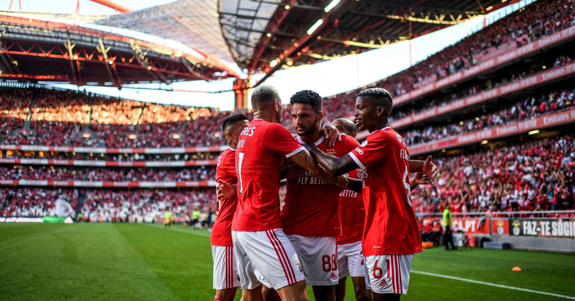 Campeão Benfica de regresso ao trabalho com pequenos acertos no plantel -  SIC Notícias