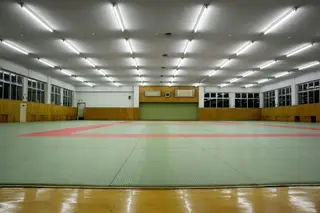 “É mentira”, “é uma anedota”, “pessoas mentirosas”: presidente da federação de judo desmente acusações de carta aberta de judocas