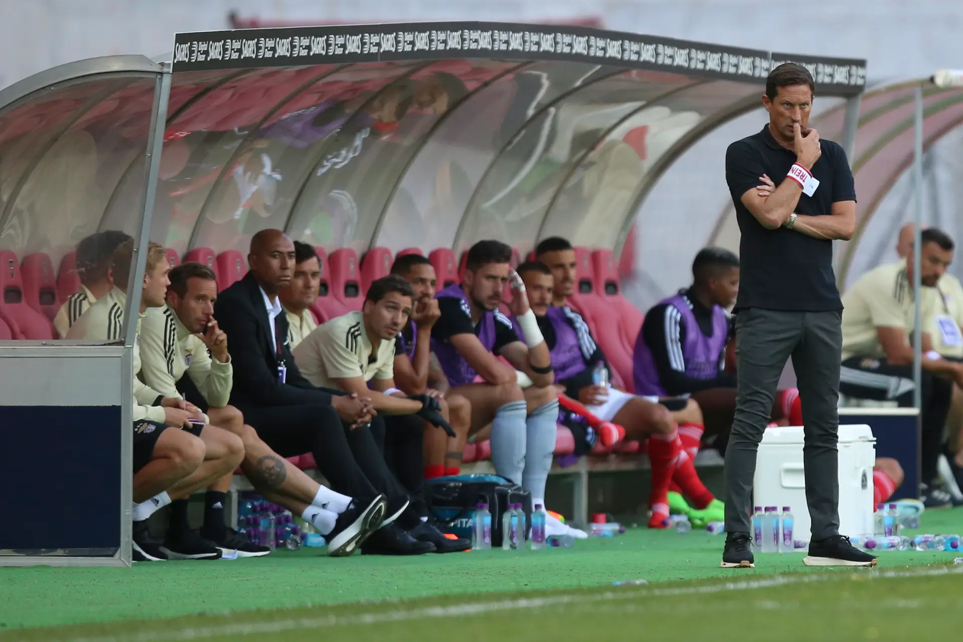 Roger Schmidt espera um Benfica a jogar bem novamente já contra o Casa Pia