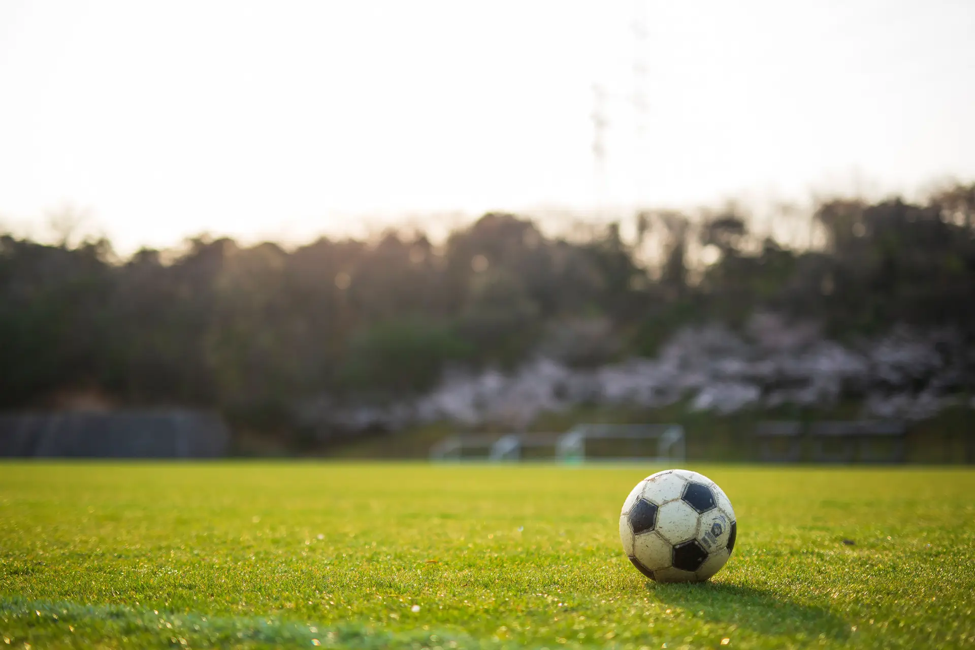 Não há um aumento da violência no desporto, o que há é uma menor