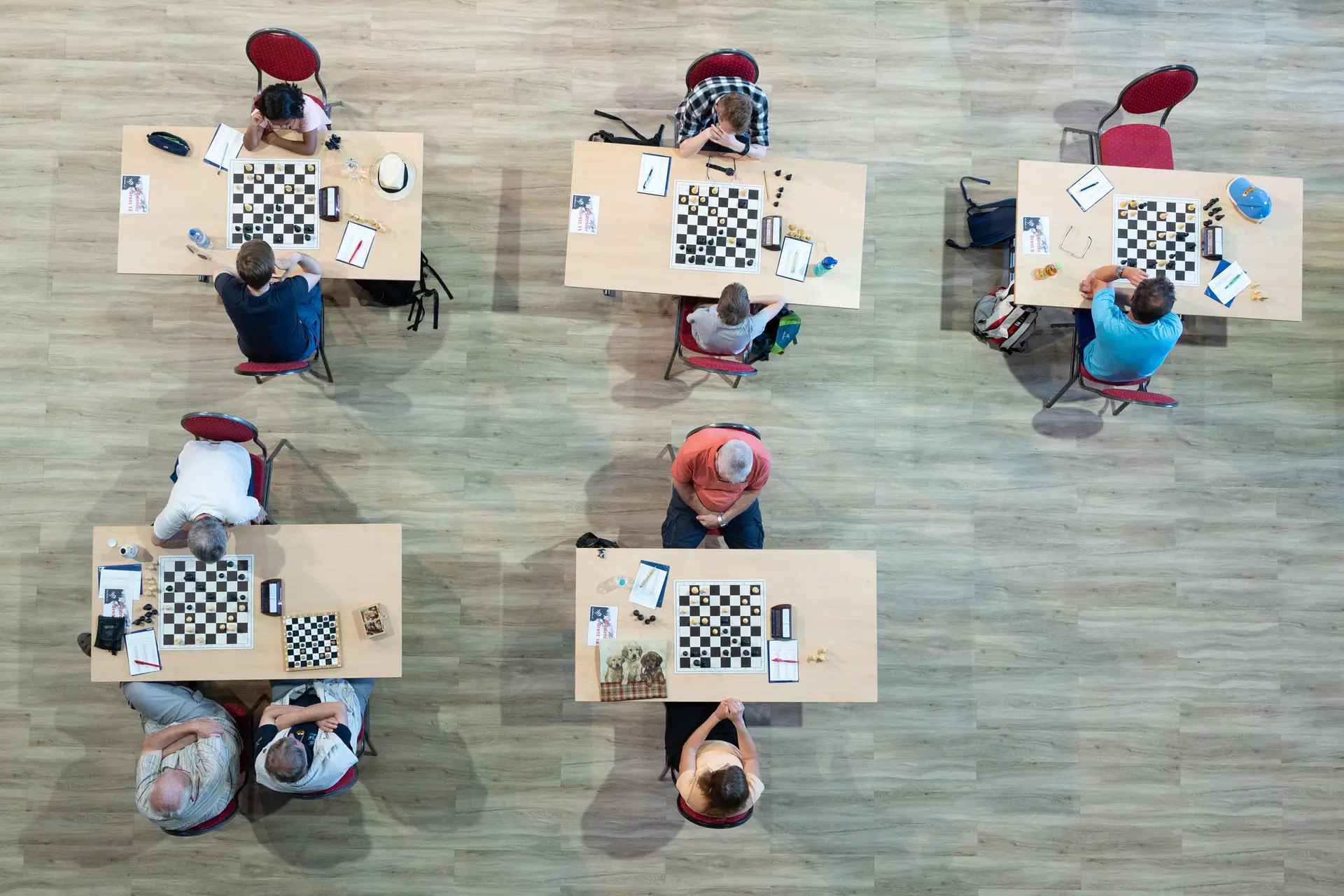 Revista de Xadrez New In Chess 2019-8 Magnus Carlsen Observe as Fotos