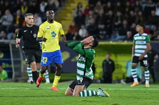Leão sem estrela
