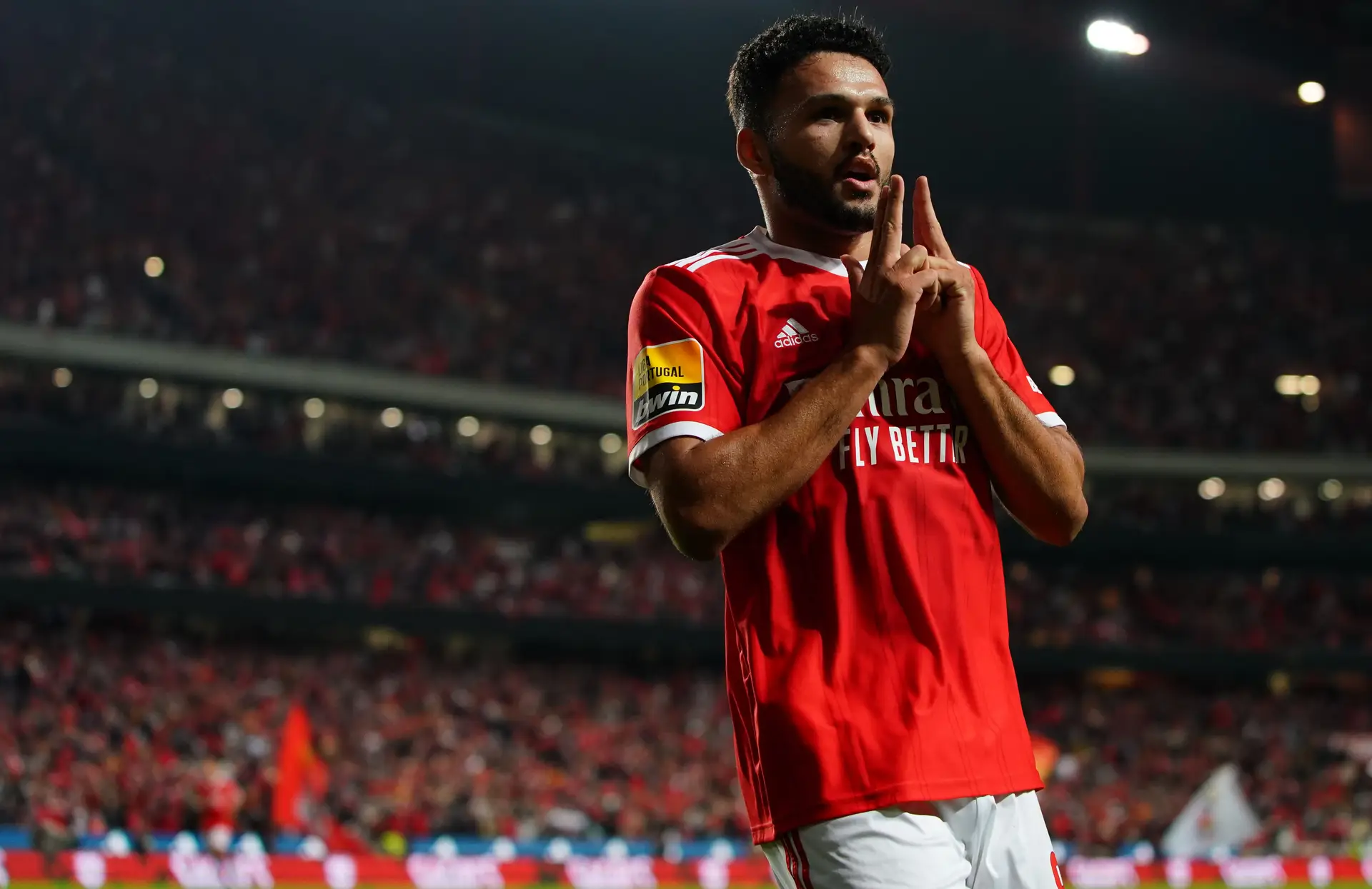 Benfica - Gil Vicente. Ramos pouco verde e o líder descansado até ao Natal