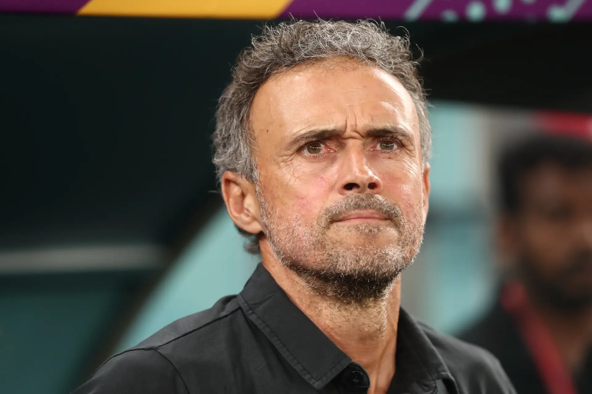 Do relvado para a Twitch. Luis Enrique vai ser 'streamer' durante o Mundial  do Qatar