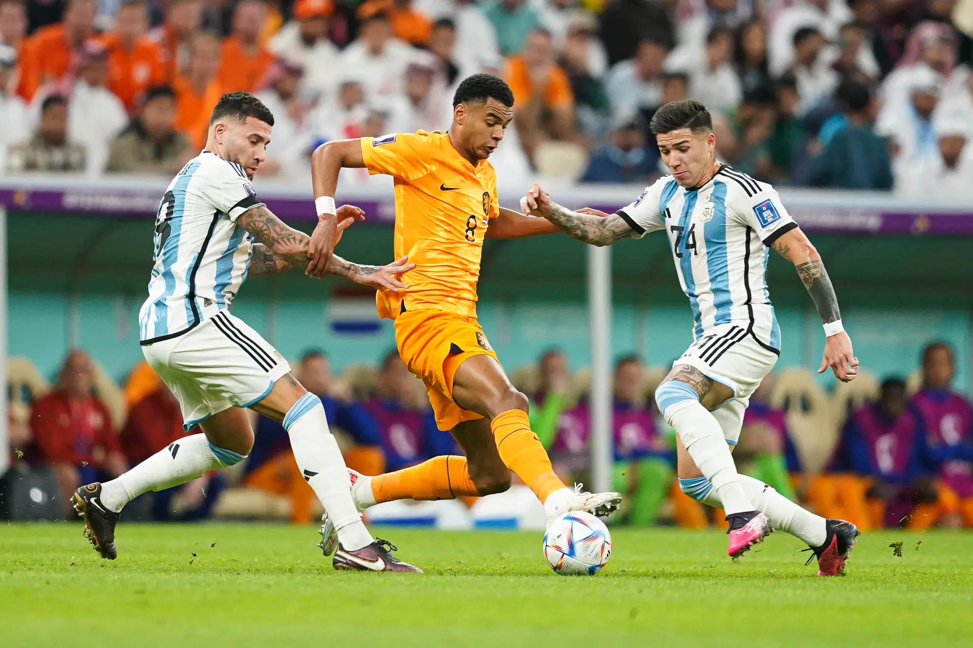 Otamendi e Enzo podem dar uma estreia a Portugal: nunca um futebolista a jogar na I Liga se sagrou campeão do mundo