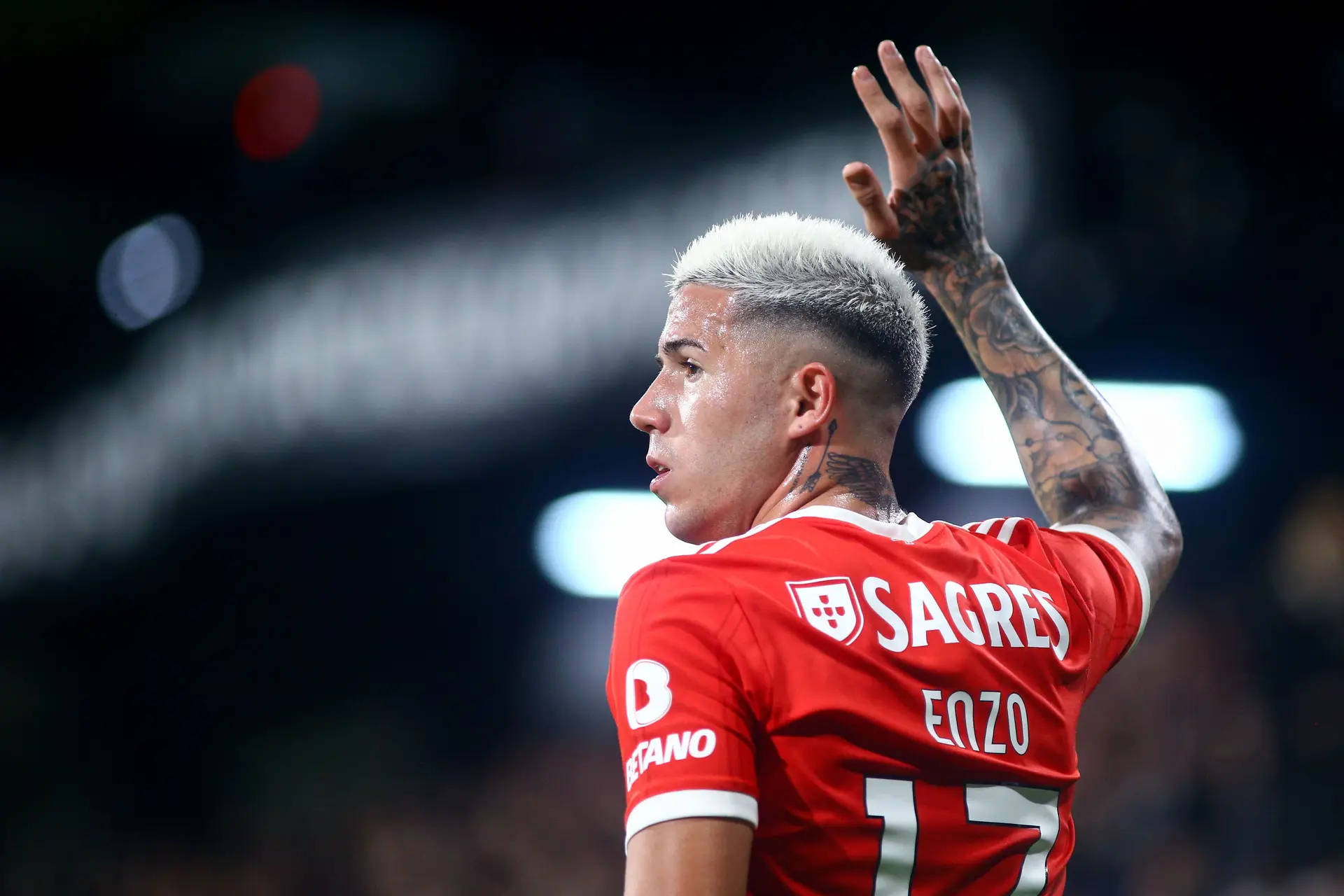 Como foi o último dia do mercado: €121 milhões, a conta (oficial) que o Benfica fez para vender Enzo ao Chelsea