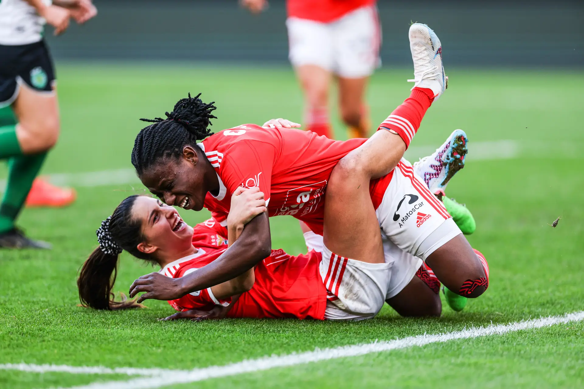 Benfica - Sporting: Cinco jogos históricos, UEFA Champions League