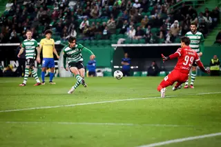 Seja bem-vindo de volta, Francisco Trincão, o Sporting saúda o desaparecimento da sua timidez