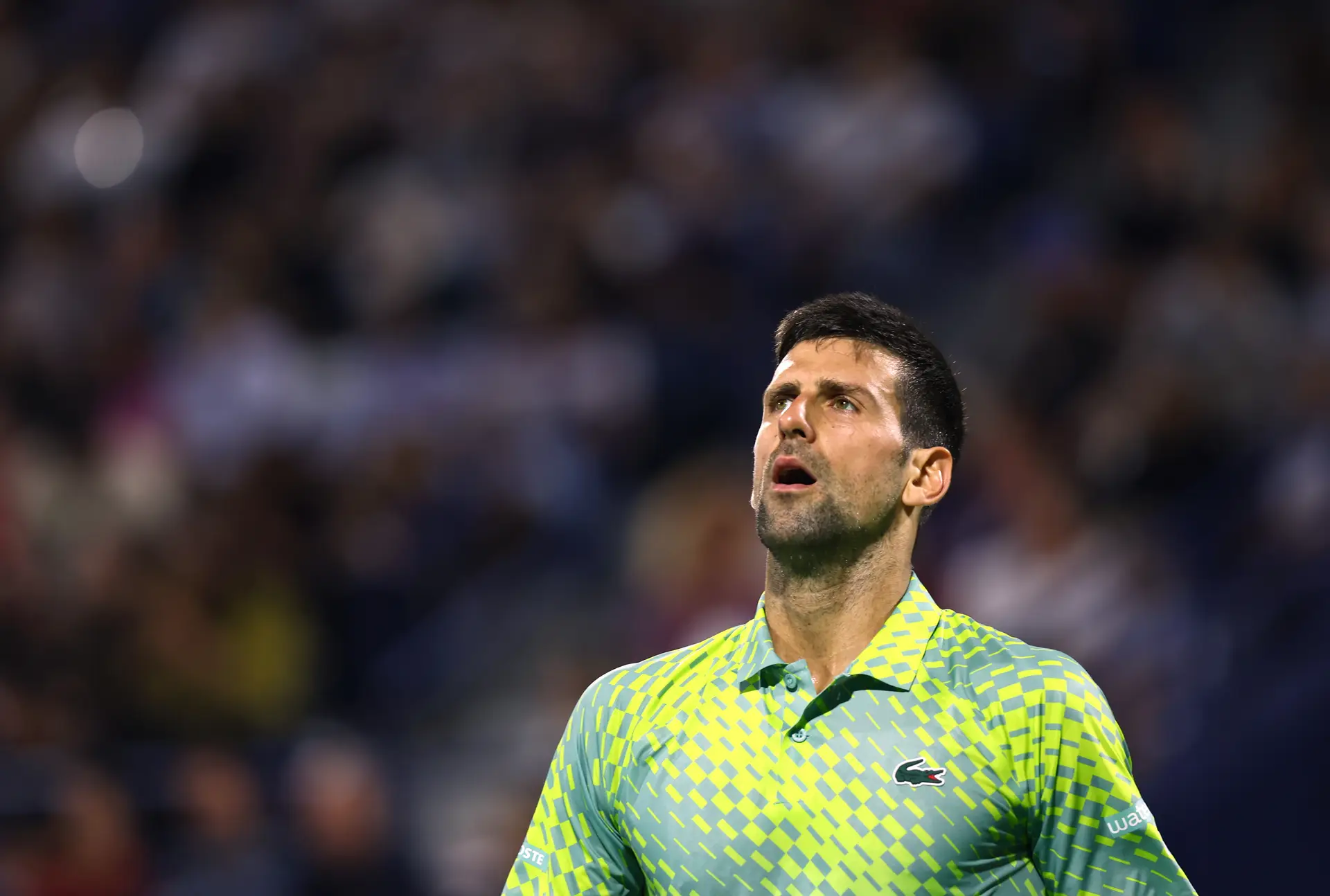 Tênis: Djokovic se diz 'quase 100%' e vai jogar torneio de Dubai