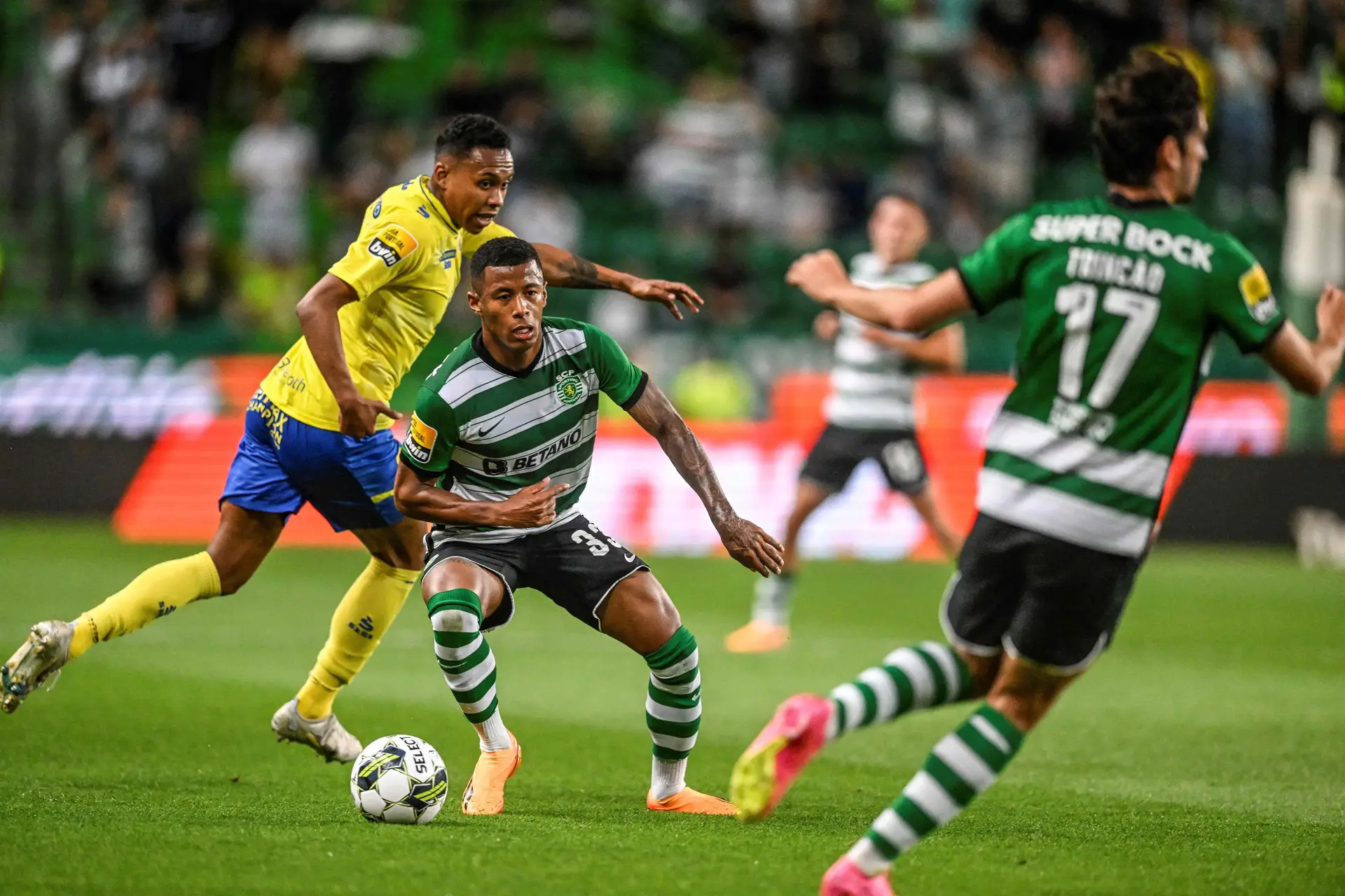 I Liga: Sporting recebe Arouca em jogo decisivo para liderança