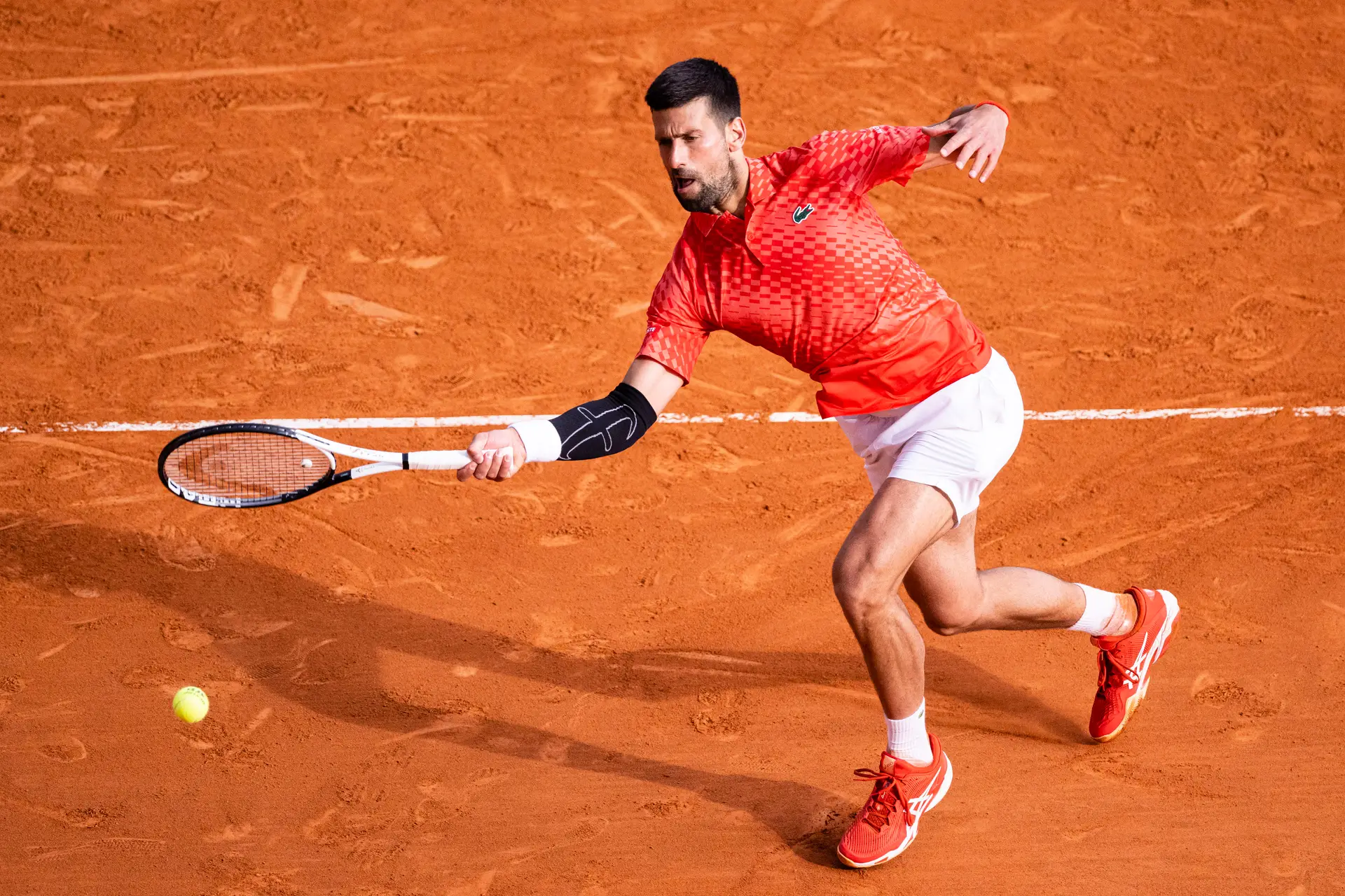 Carlos Alcaraz e Novak Djokovic vencem na estreia em Roland Garros, tênis