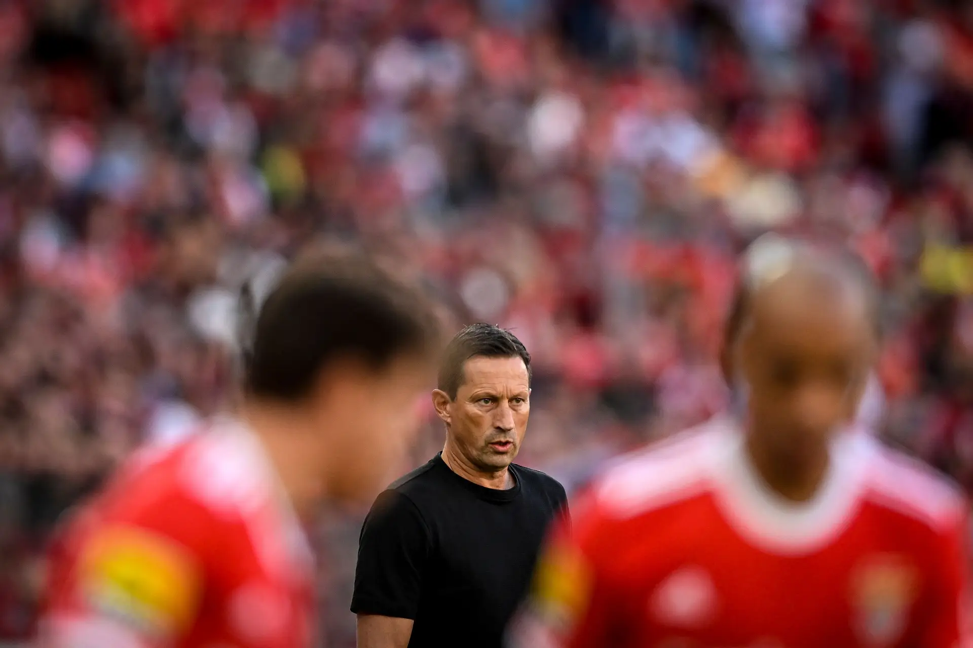 Roger Schmidt: “É uma boa sensação ganhar depois de vários jogos sem vencer”