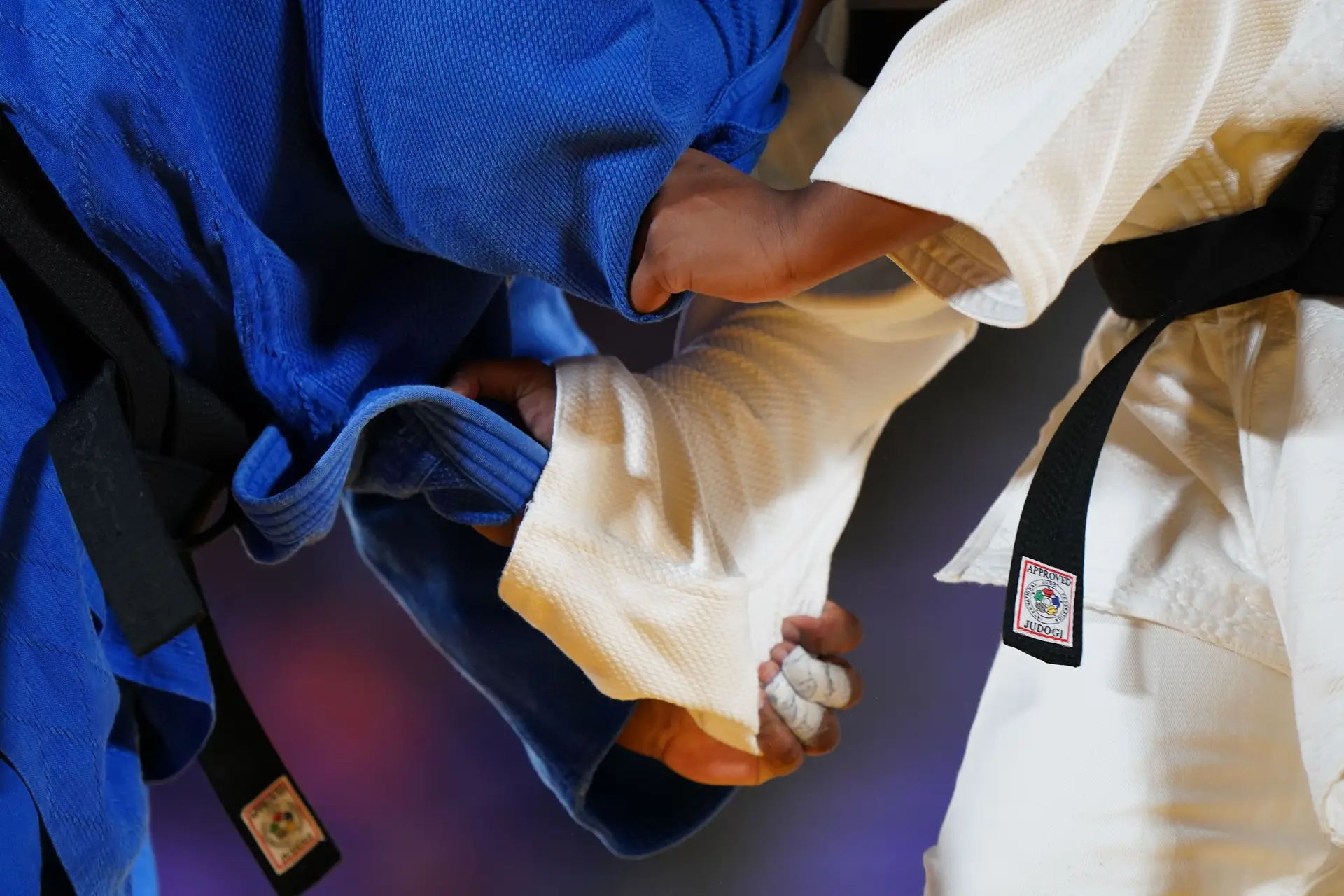 Federação Portuguesa de Judo alvo de buscas da Polícia Judiciária