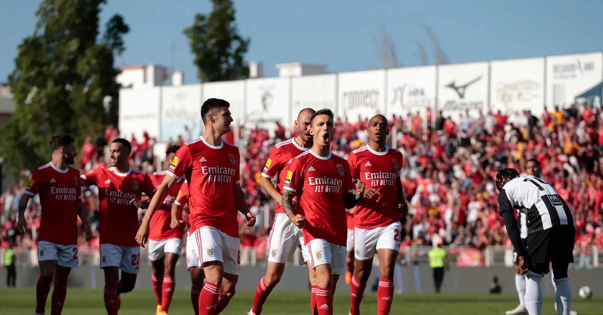 televisão**]]] Moreirense FC x Portimonense SC ao vivo on