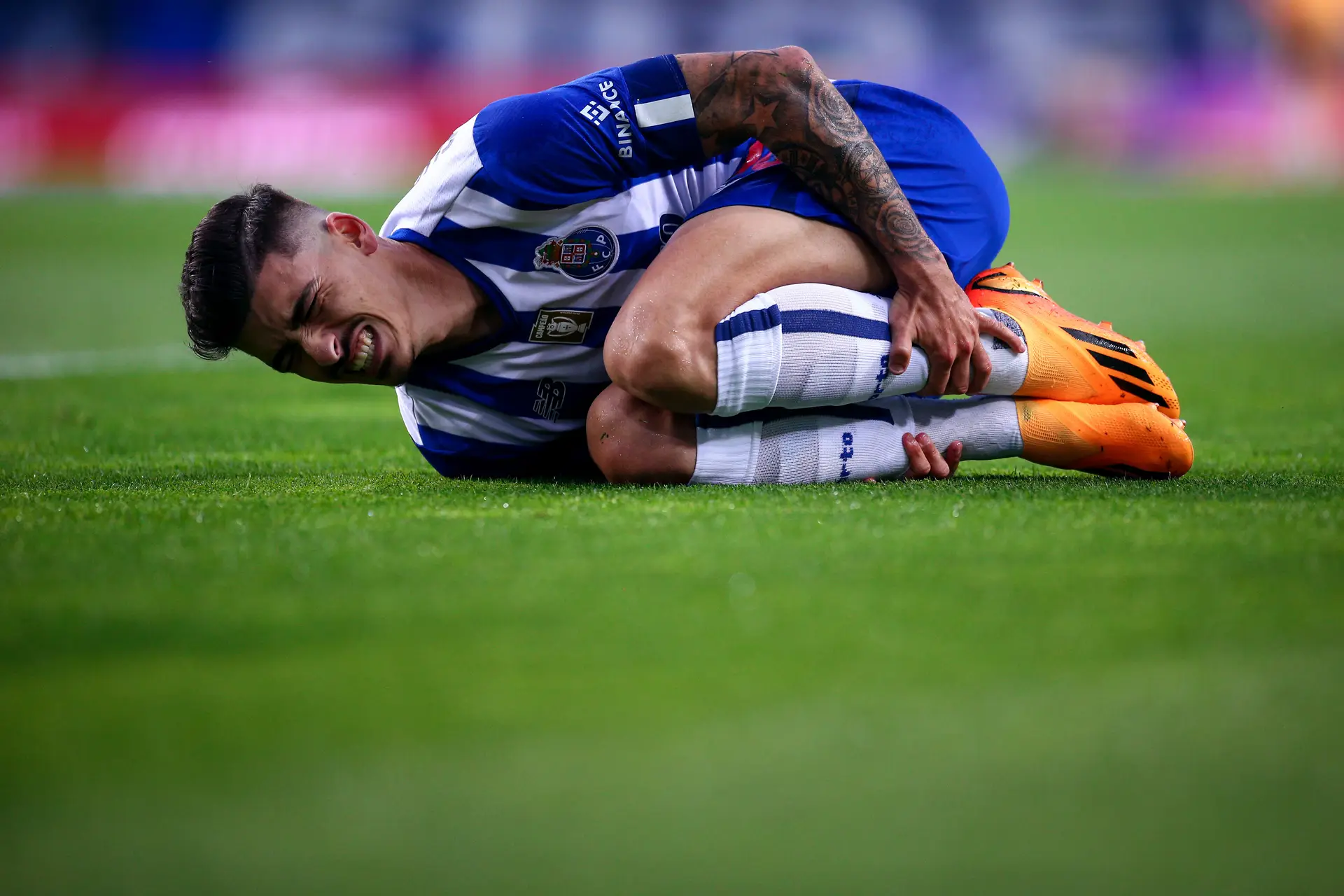 André Franco: É muito importante para o FC Porto voltar a conquistar o  campeonato