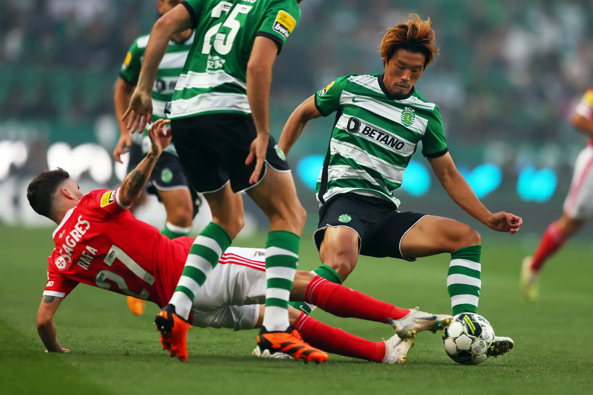 Benfica pode ficar ainda mais perto do título se vencer ou empatar na Luz