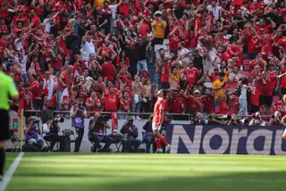 Em Luanda portugueses vivem ambiente de festa na conquista do 38.º titulo  do Benfica - SIC Notícias