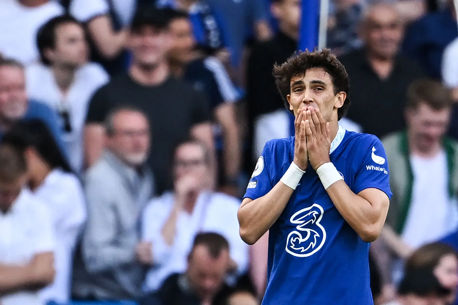 Adeus, Chelsea: João Félix vai voltar ao Atlético de Madrid de onde saiu de “cabeça cheia de tanto tentar” adaptar-se