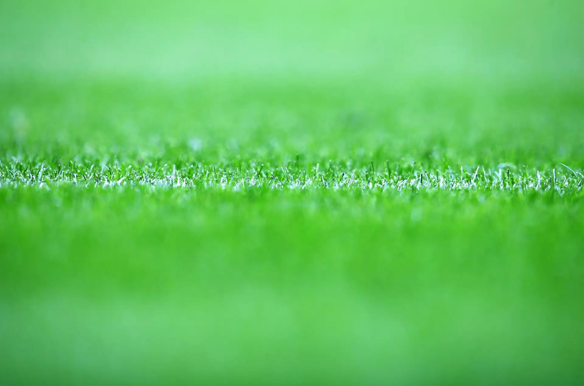 “Como se quer pôr mais €100 milhões” no ‘preço’ dos direitos televisivos da I Liga se “não é possível monetizar” o valor de hoje?