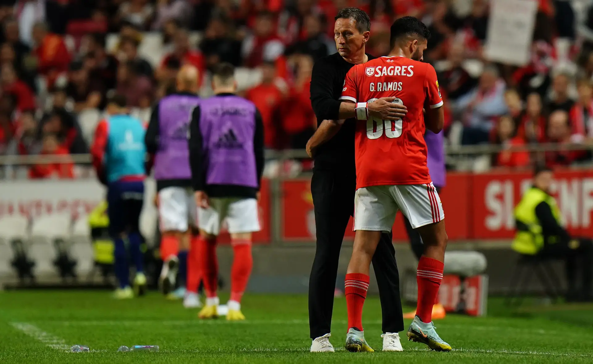 Roger Schmidt: “Perder Gonçalo Ramos dois dias antes da Supertaça é uma pena”