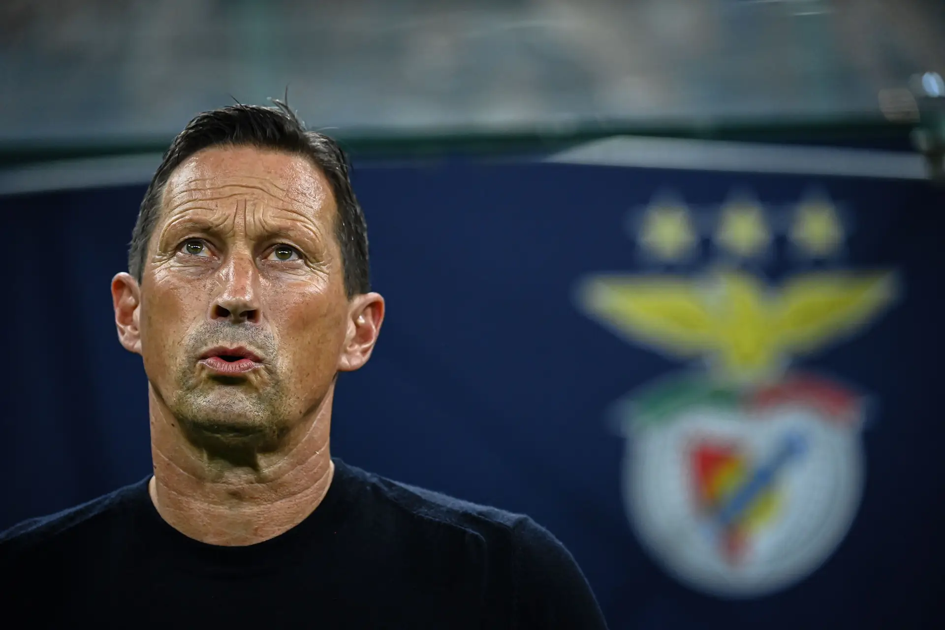Roger Schmidt: “Estamos felizes com o António Silva e o João Neves na seleção. Continuam humildes e não se acham os melhores”