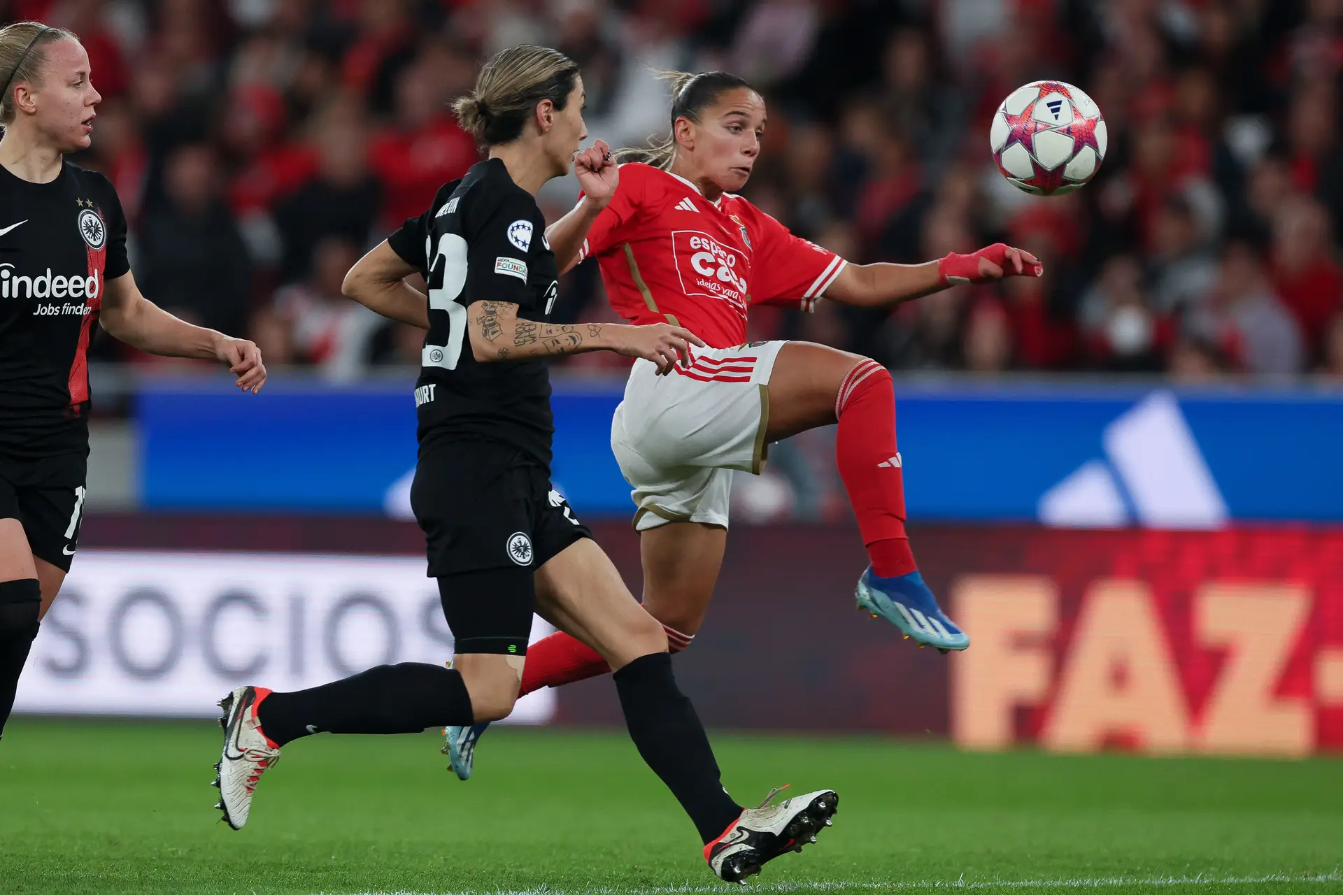 Jogos da Liga da Grécia vão ser à porta fechada até 12 de fevereiro