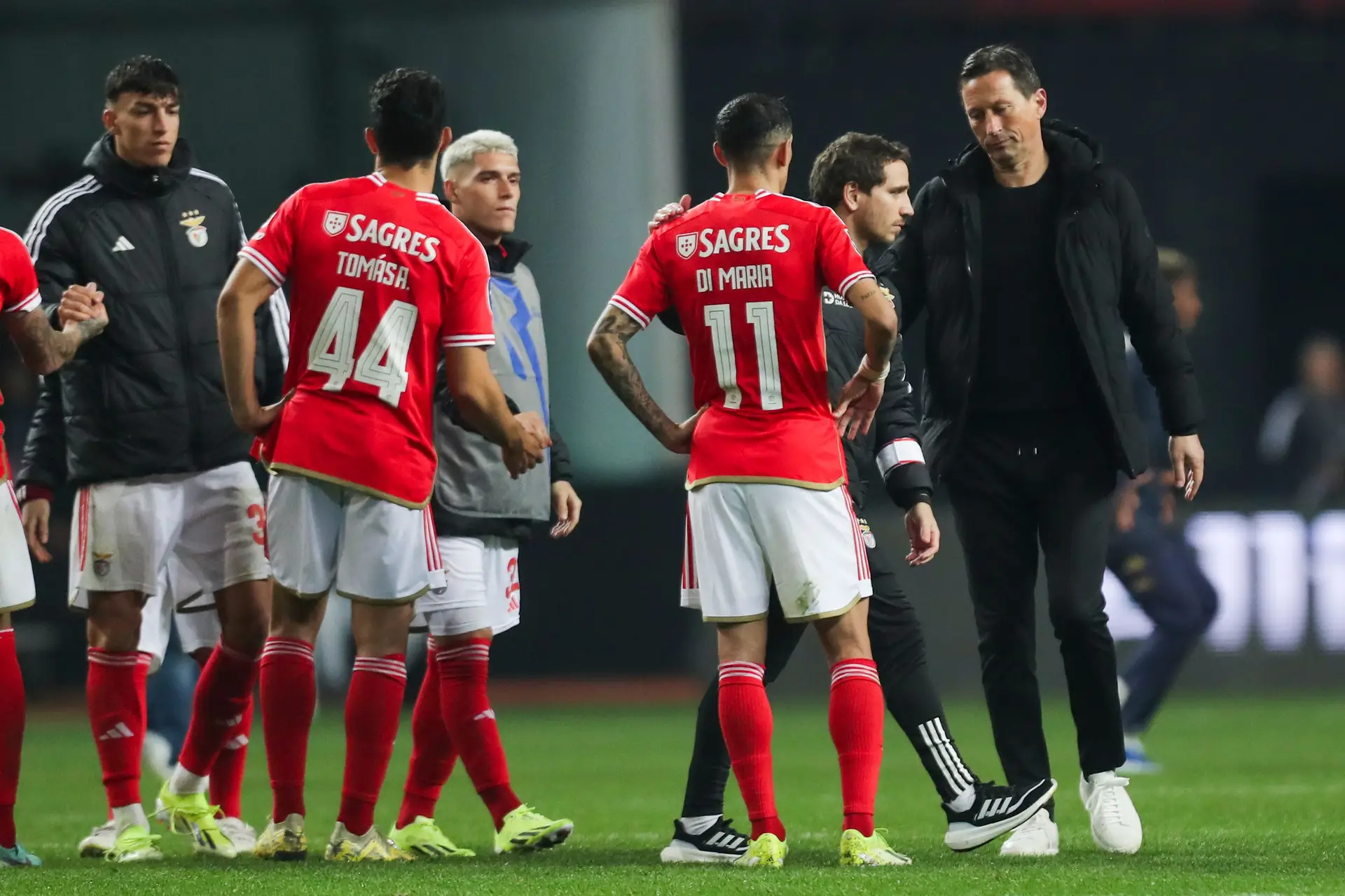Roger Schmidt: “Não é vergonha nenhuma perder contra o Estoril, especialmente quando jogas bens e crias tantas oportunidades”