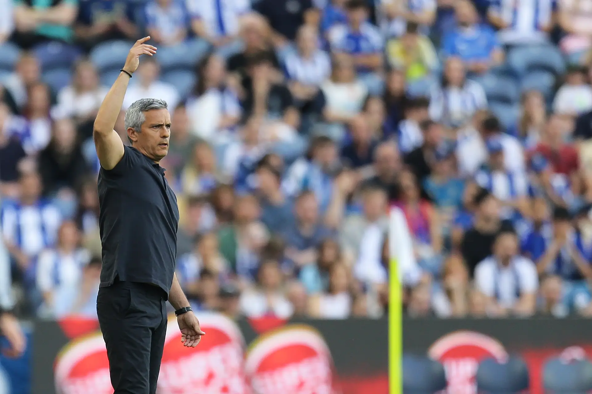 Armando Evangelista: "Fico satisfeito com o resultado, mas houve uma altura em que acreditávamos que era possível mais qualquer coisa"