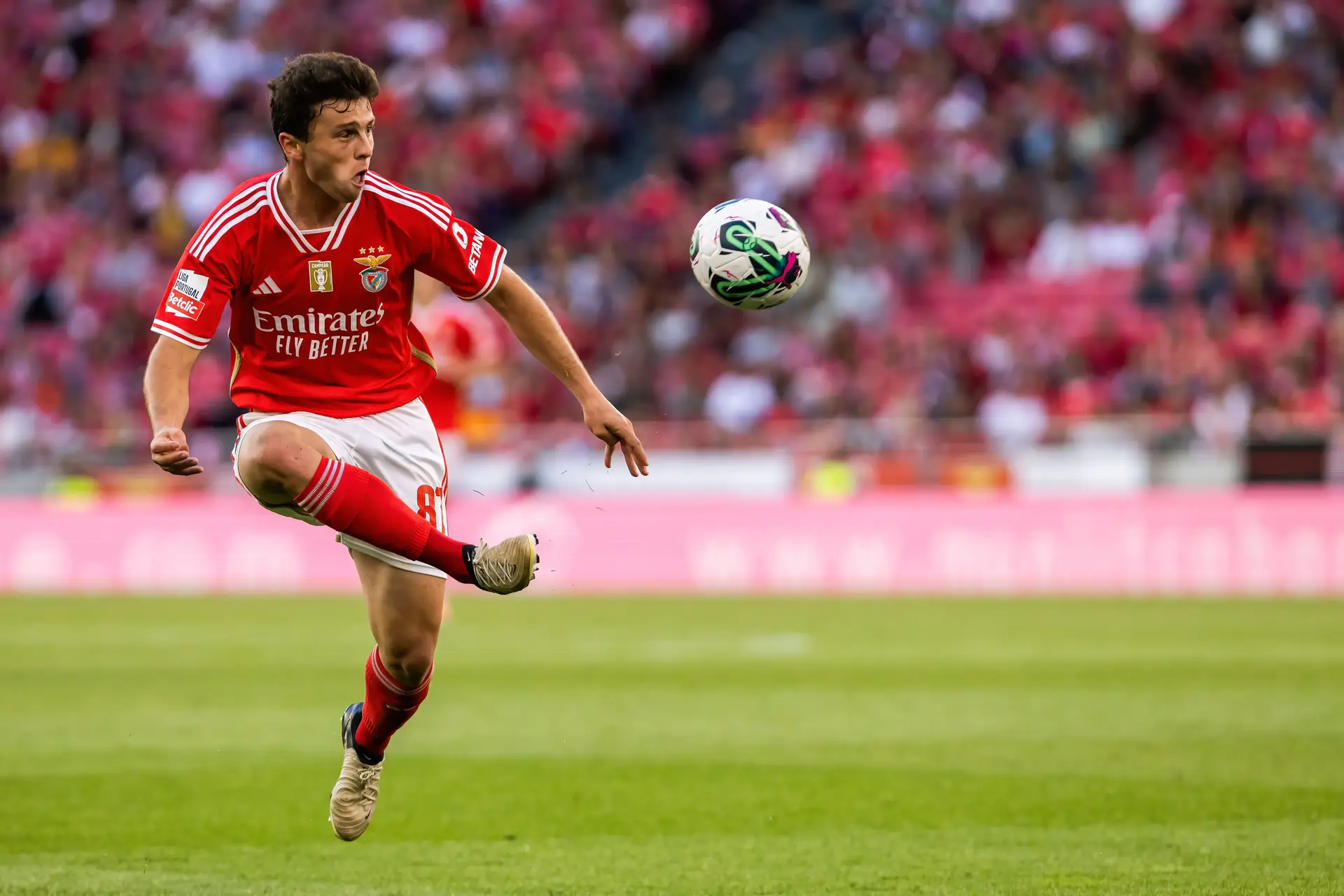 João Neves: “Se eu quisesse mesmo ir embora, e se o Benfica quisesse mesmo que eu fosse embora, já tínhamos resolvido isto há muito tempo”