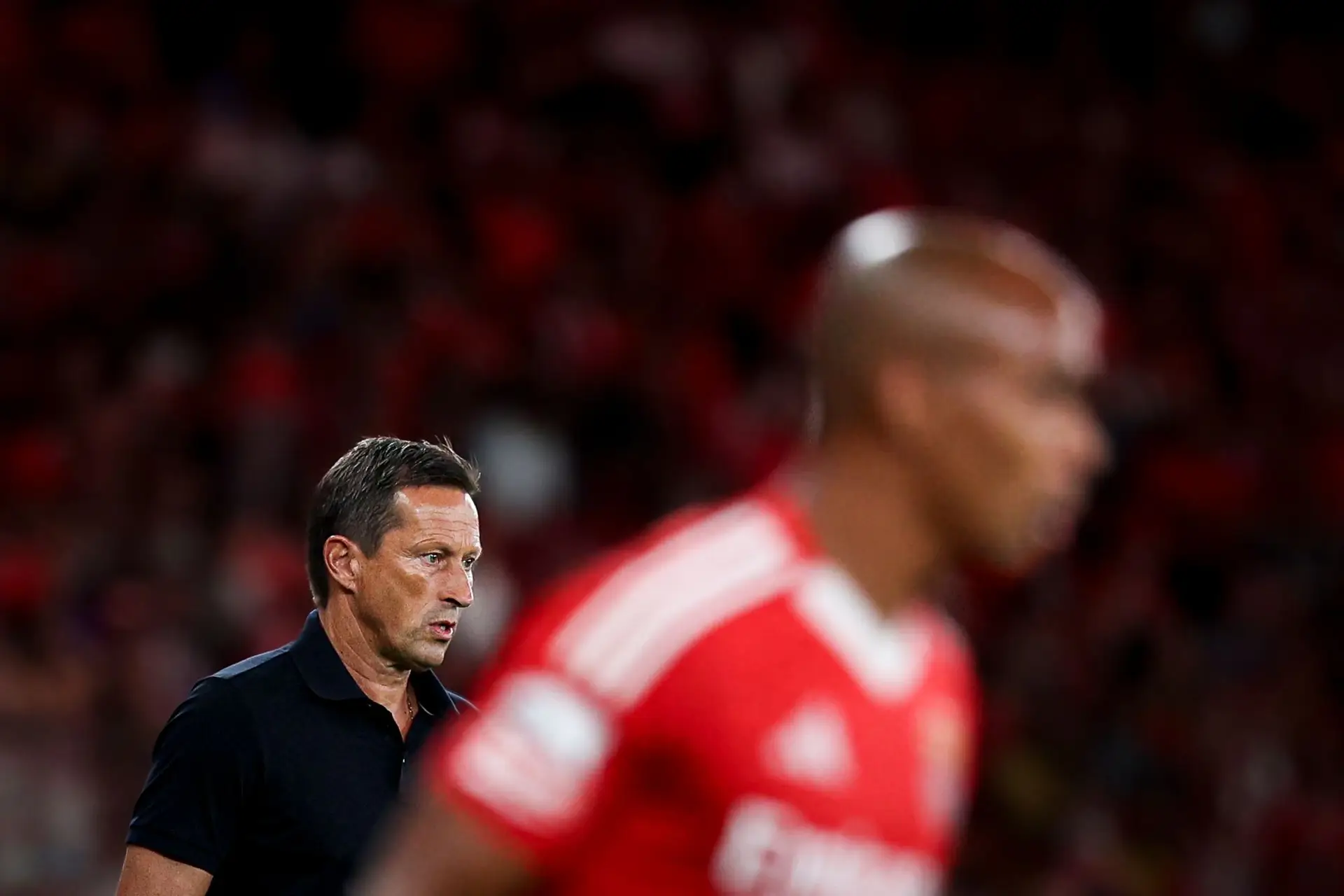 Roger Schmidt: “Primeiro golo deu-nos confiança. Estamos felizes porque depois de perder é importante dar uma boa resposta”