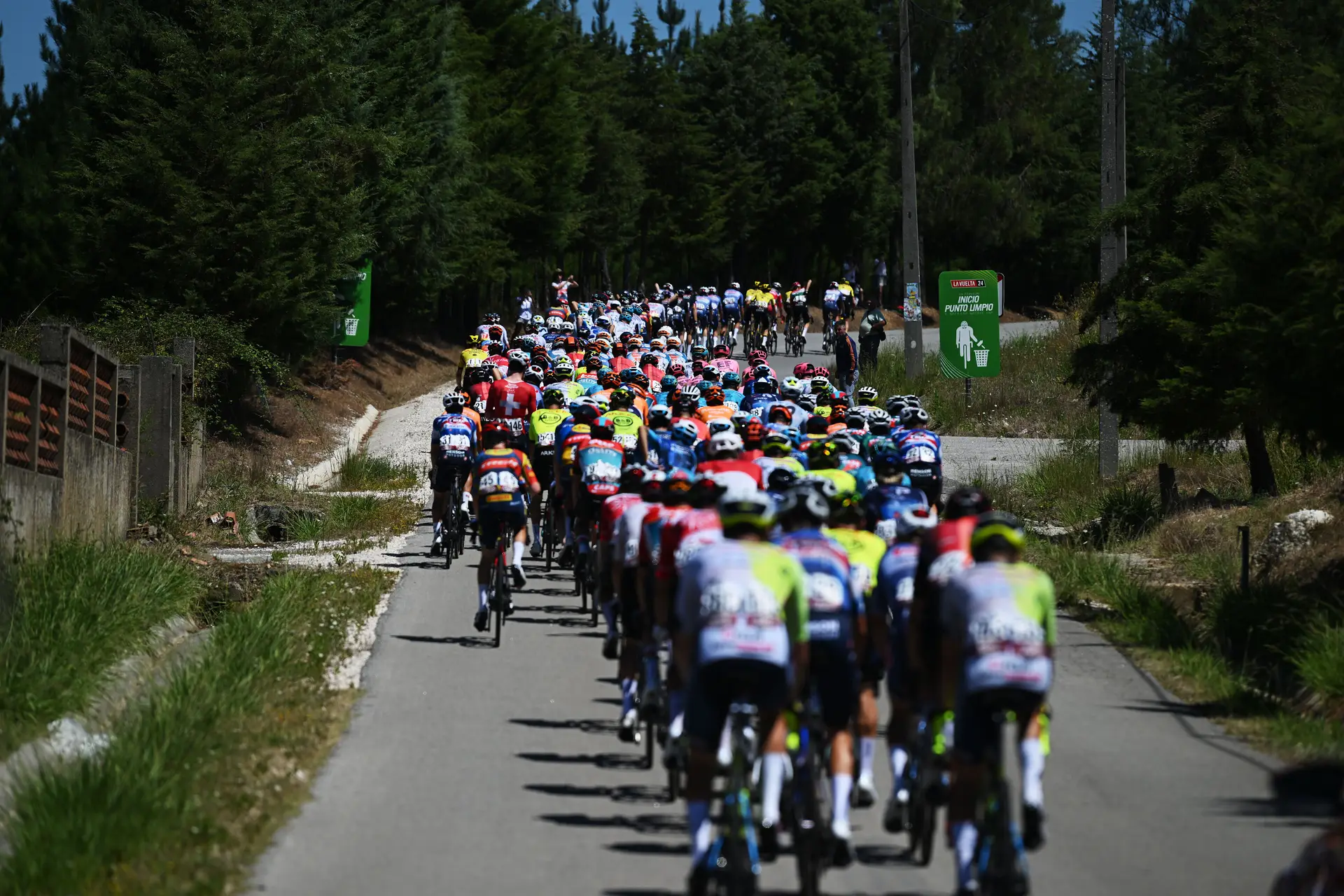 Luís ouvia as suas próprias fugas na rádio e pedalou com Joaquim Agostinho. Hoje tem uma farmácia por onde passou o início do fim da Vuelta
