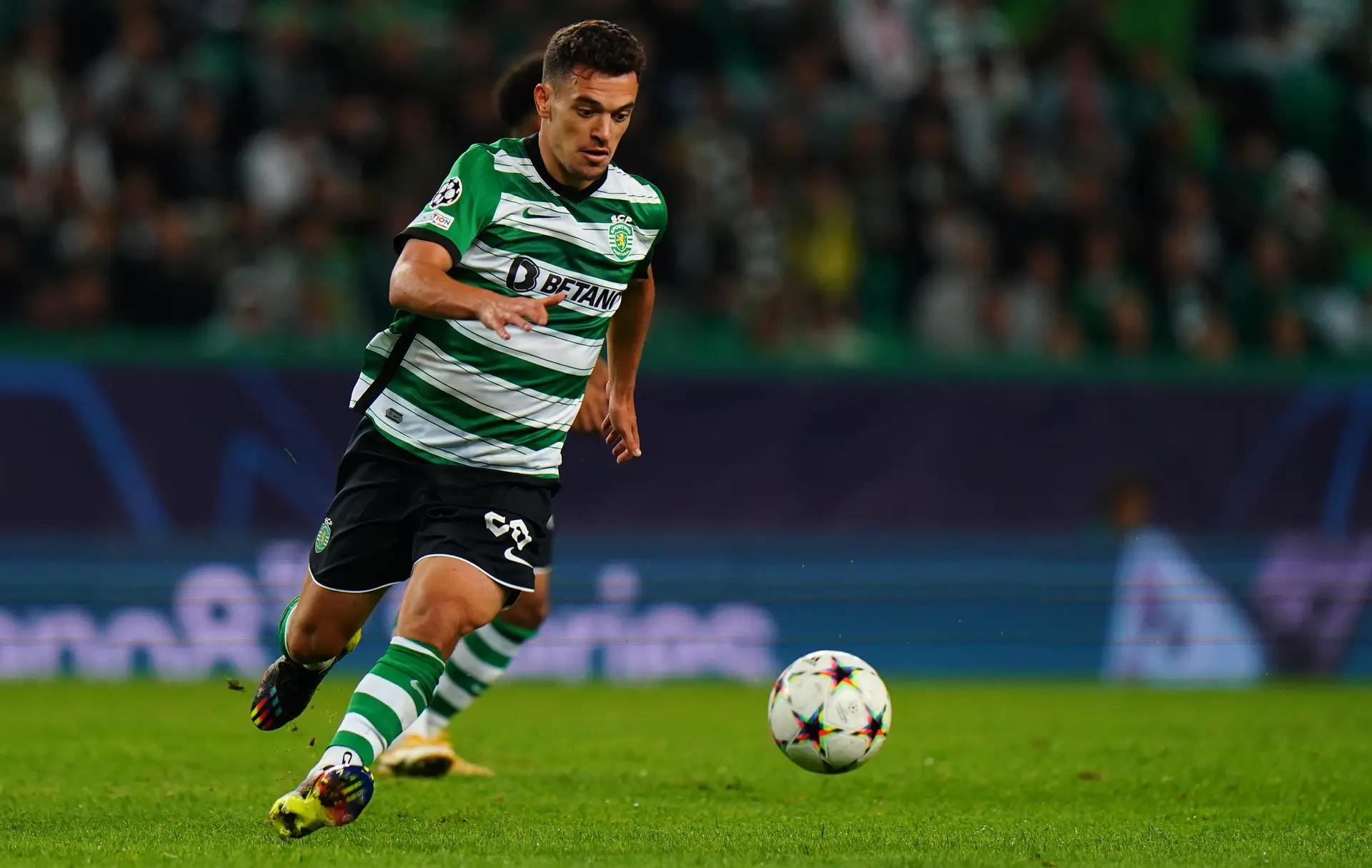 Após um ano de ausência, o Sporting está de volta à Liga dos Campeões