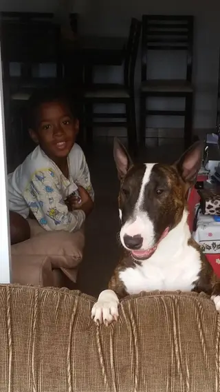O filho do defesa-esquerdo e o cão Broly