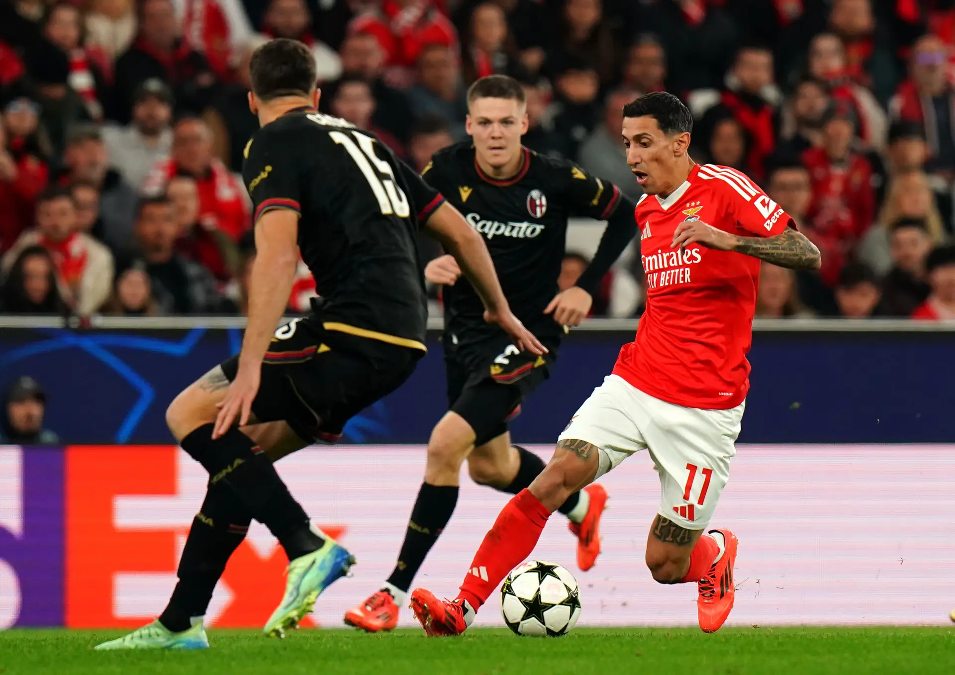 Em direto: Benfica 0-0 Bologna (terminado)