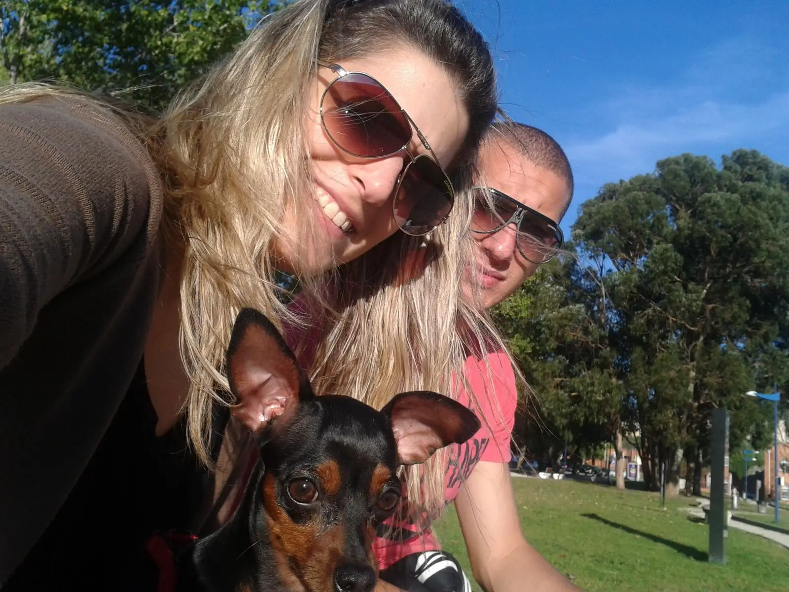 Joana, a mulher de André e o pinscher que ambos tiveram quando começaram a viver juntos