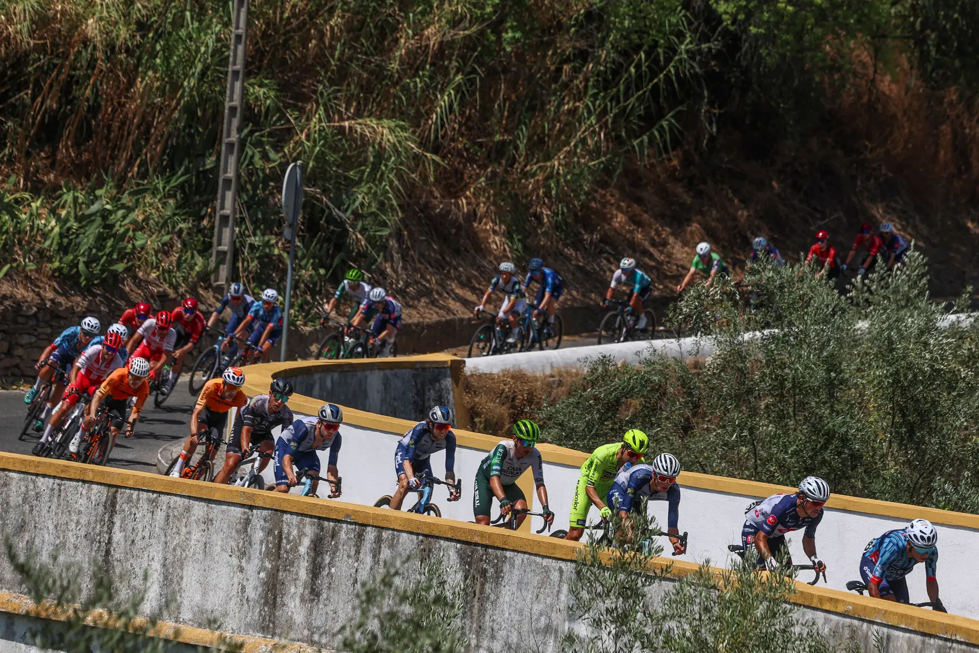 Os ciclistas do pelotão de 2025 da Volta a Portugal