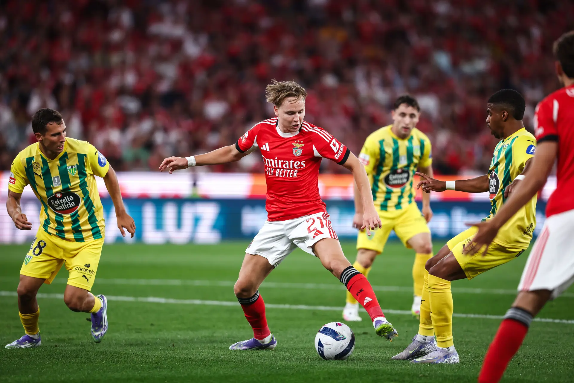 Numa exibição da profundidade do plantel, o Benfica pouco mais podia fazer do que ganhar ao Tondela