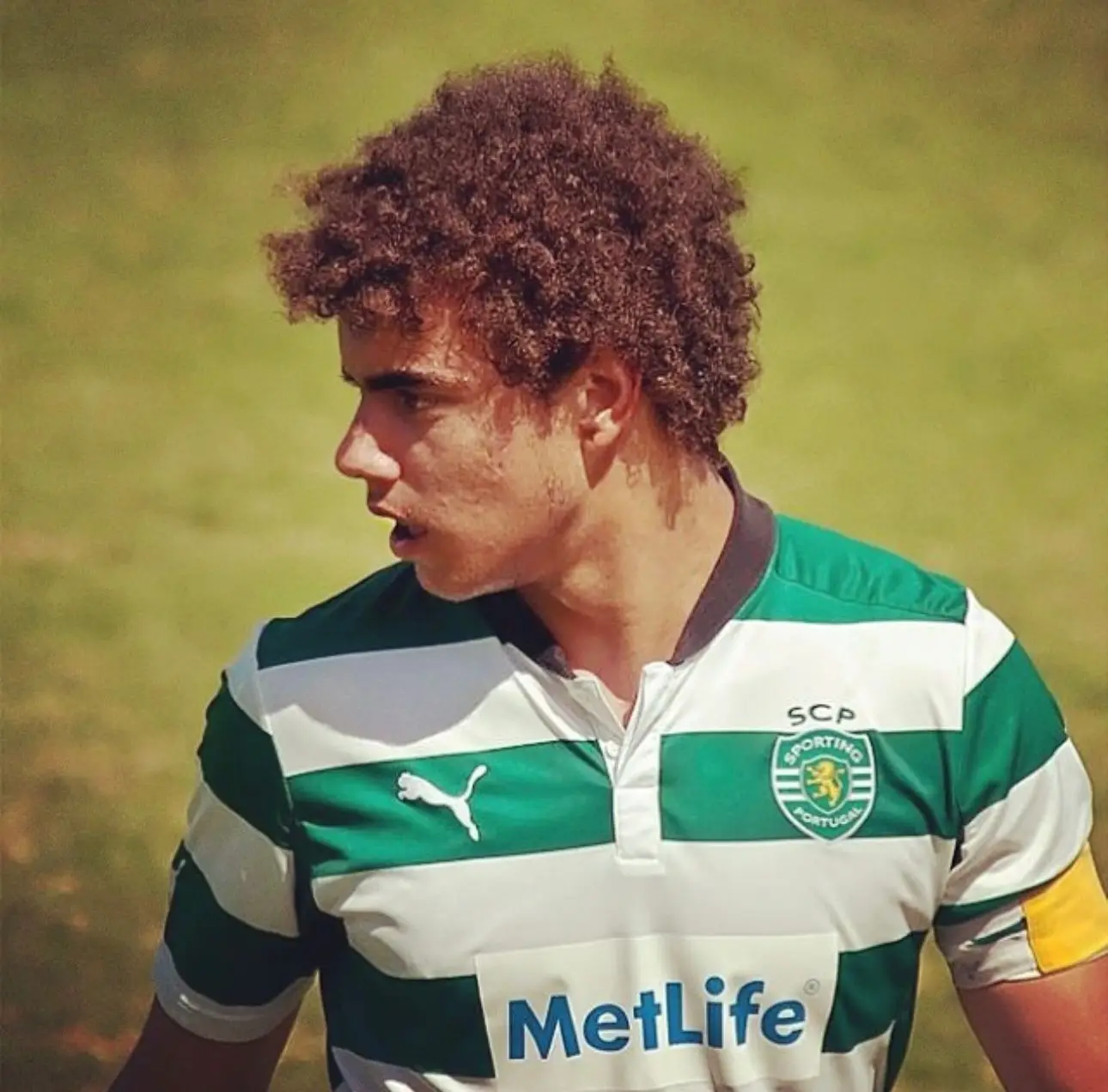 Aos 13 anos, Pedro Ferreira foi para a Academia do Alcochete