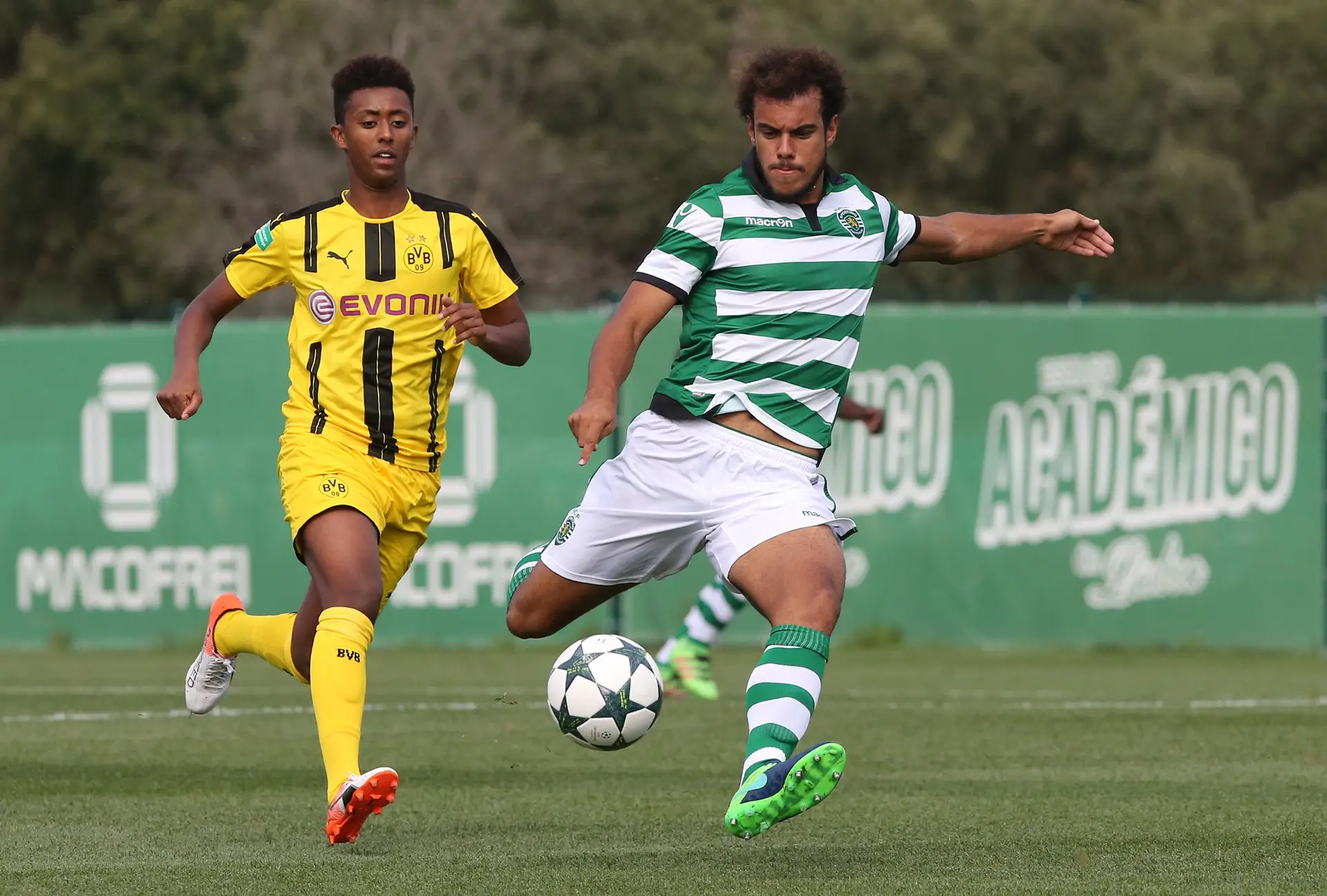 Em ação pelo Sporting