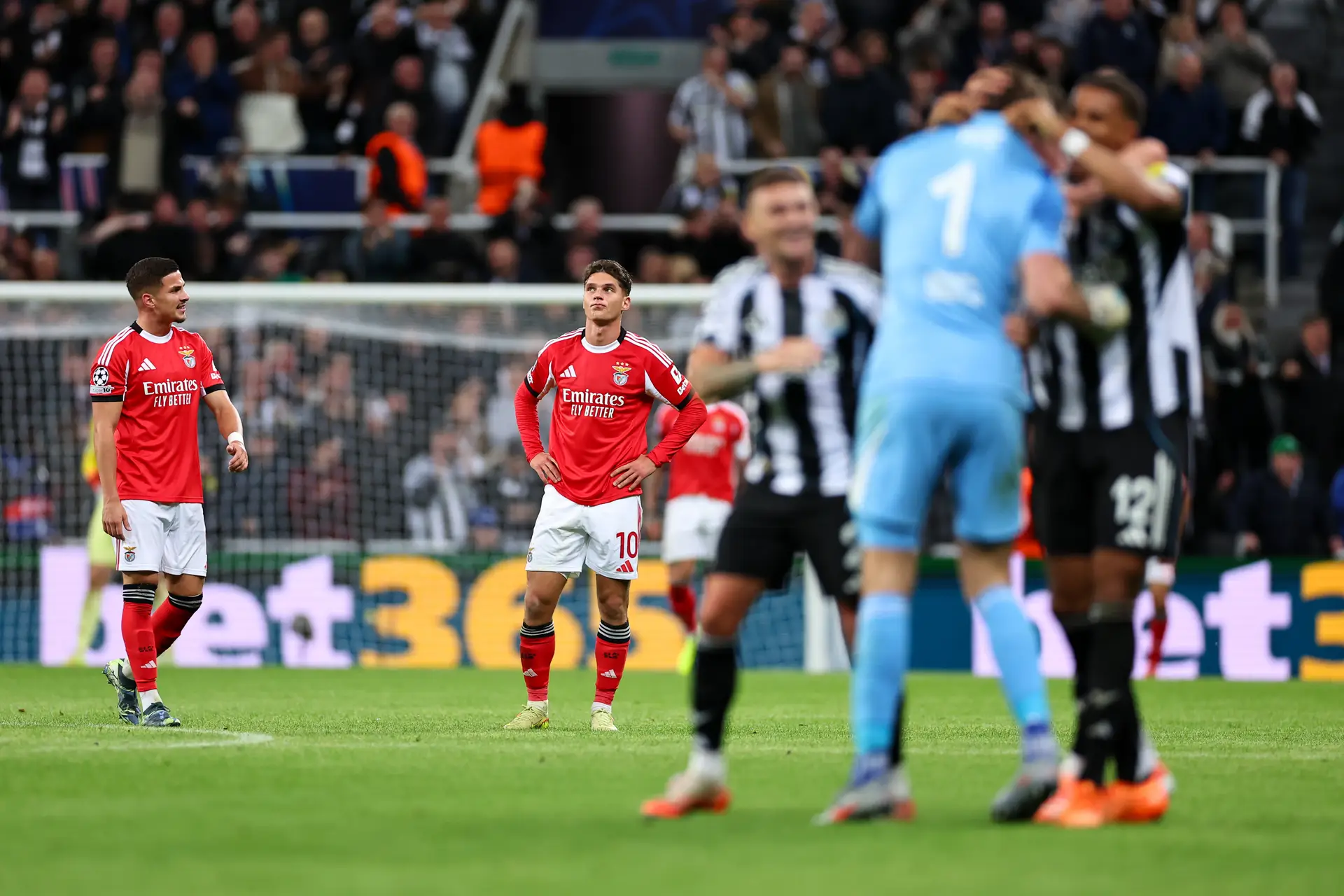 Para contradizer Mourinho, o Benfica foi a Newcastle ver jogar
