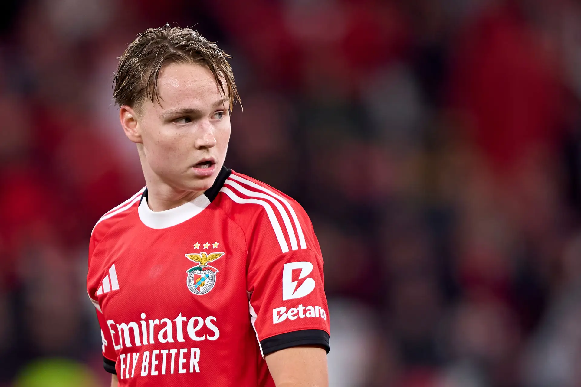 Schjelderup partilhou um vídeo sexual com menores e “cometeu um erro muito grave”, mas não vai ser punido na seleção da Noruega