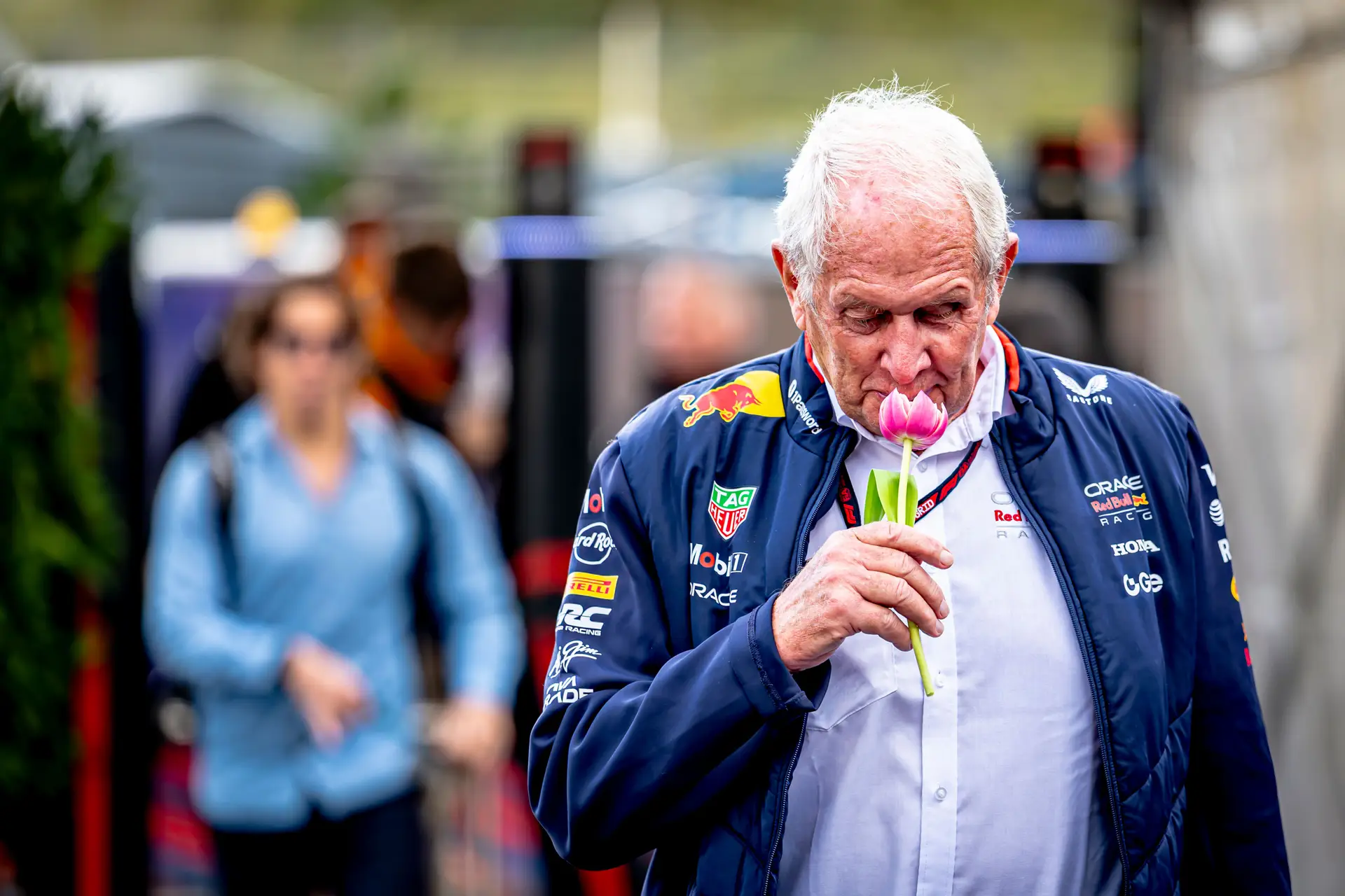 Helmut Marko consultor da Red Bull durante o GP Países Baixos 2025, em Zandvoort