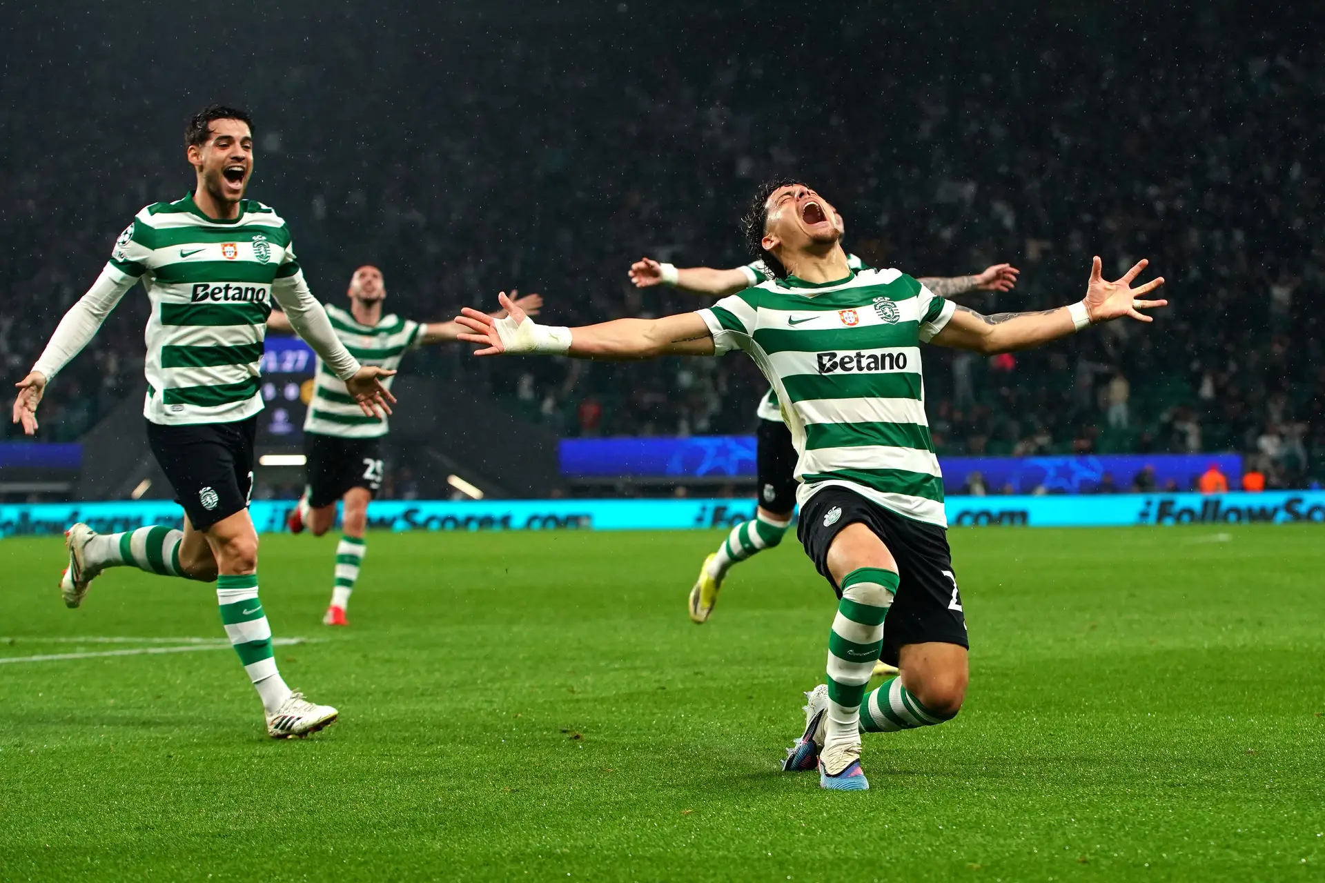 Maxi Araújo a celebrar efusivamente o seu golo contra o Bodø/Glimt, que deu ao Sporting a passagem aos quartos de final da Champions